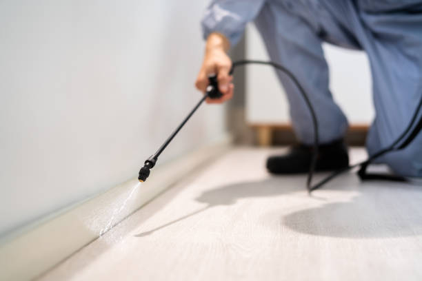 Licensed Mosquito Control service in Bayshore Gardens, FL - Show Me Pest Control