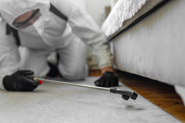 Professional Ant Control technician working in Bayshore Gardens, FL