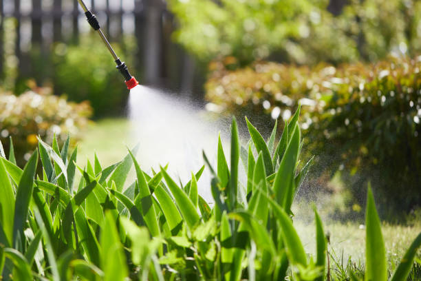 24/7 Emergency Mosquito Control experts in Bayshore Gardens, FL