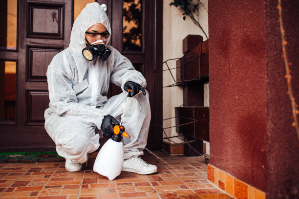 Reliable Mosquito Control contractor in Bayshore Gardens, FL by Show Me Pest Control
